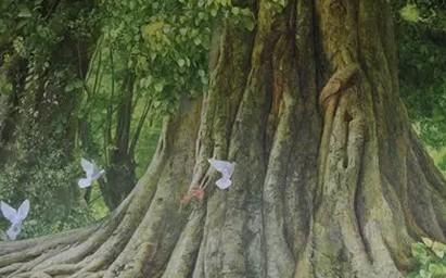菩提树为什么被称为“圣树”_儒佛道频道_腾讯网
