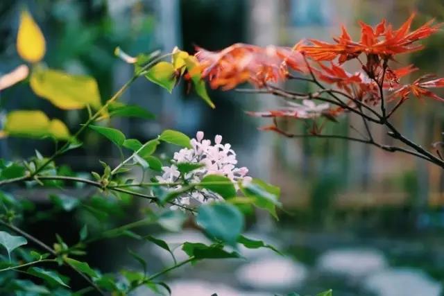 曾国藩:最聪明的做人之道 是让人对你放心