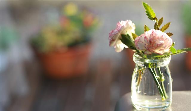 母爱如山:那些与母亲有关的山