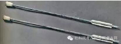 图片版权归原作者所有