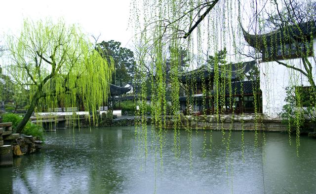 乍暖还寒的阴冷春天早晨,伴随着蒙蒙细雨,愁绪也像雨一样,像花一般.