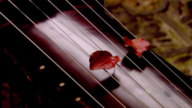 从陶晶莹的乐曲中感受到爱的力量
