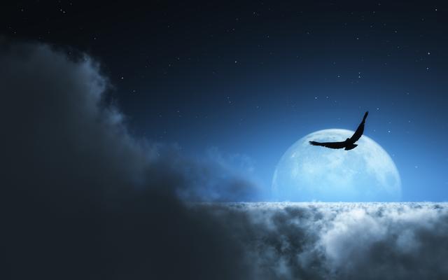 宇宙太浩瀚,时空无穷无尽(资料图)