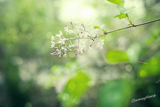 人有善念，天必佑之