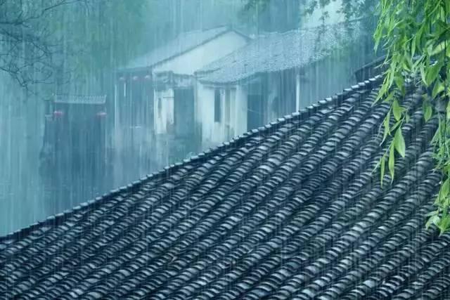 古诗里的寒露节气