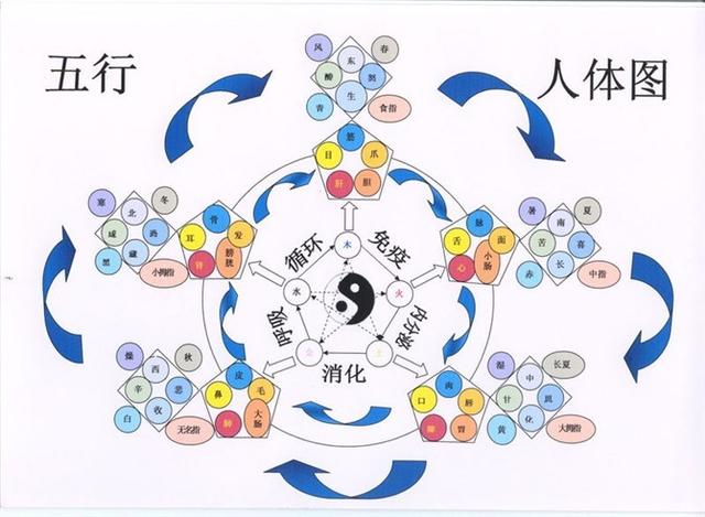 阴阳在天地之间交舞:自然世界中的五行