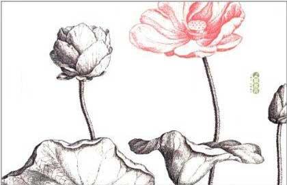 庄子眼中的人间世 天道人道两难全_儒佛道频