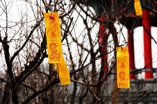 《修真精义杂论》(二):符水论