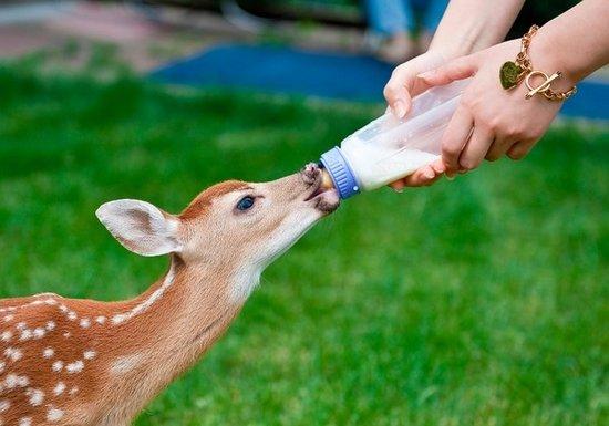 仙道贵生:道教对待生命的态度