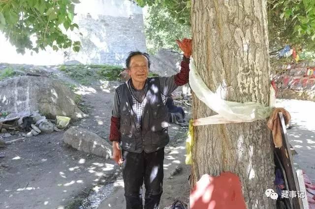 “我刚来这里的时候,这棵树大概这么高”(资料图)
