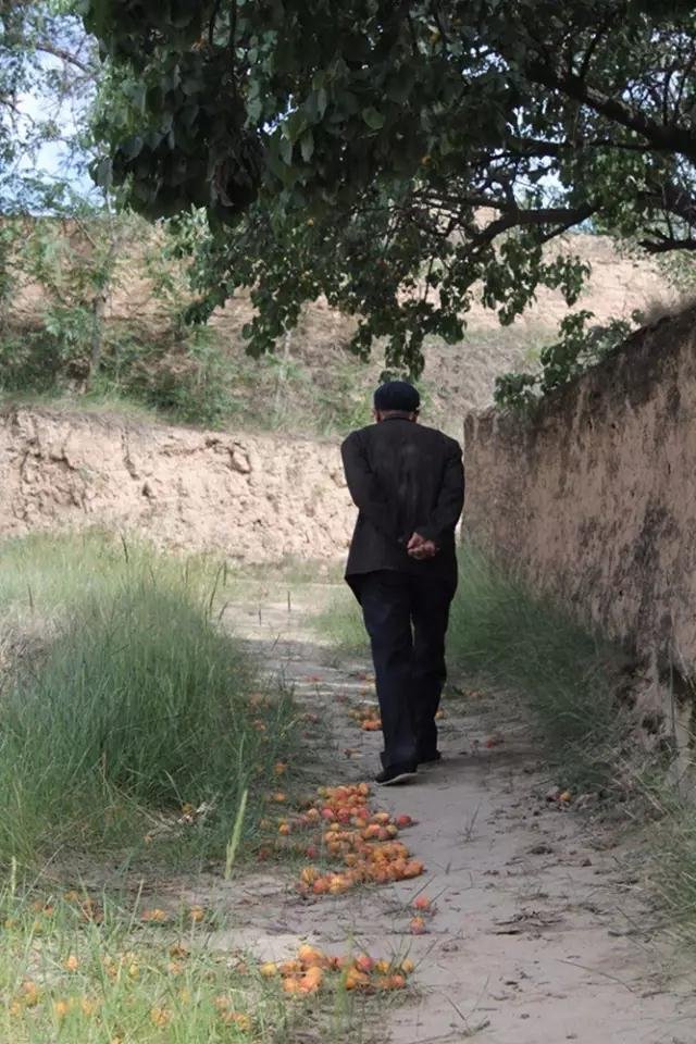 水生源的背影。 水生源的背影。