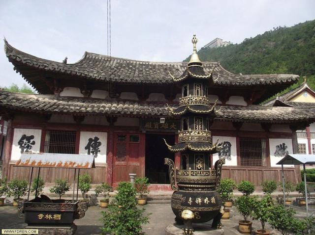 福建福鼎栖林寺将十日禅修活动通启