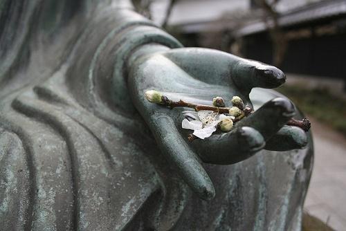 一花一草都是诸佛的提醒