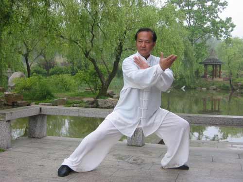 武当十三式太极拳 易筋易骨还易力