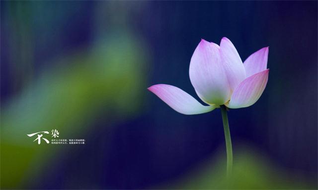 【小和尚的天涯第一帖】人活着的意义是什么