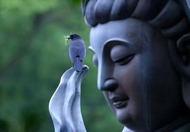 不是业障消不了而是我们的虔诚心不够_儒佛道频道_腾讯网