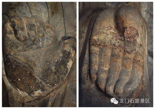 ��ָ����