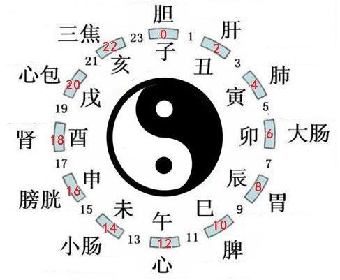 道医养生笔记丨“天有五贼”所蕴含的养生之道