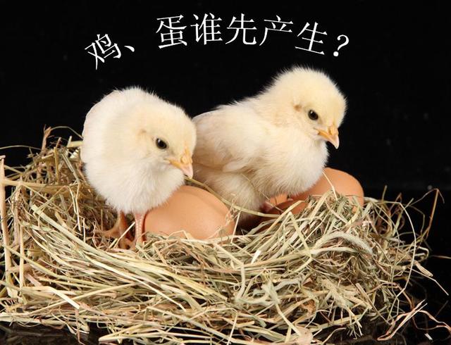 佛法解答先有鸡还是先有蛋的千古之谜?