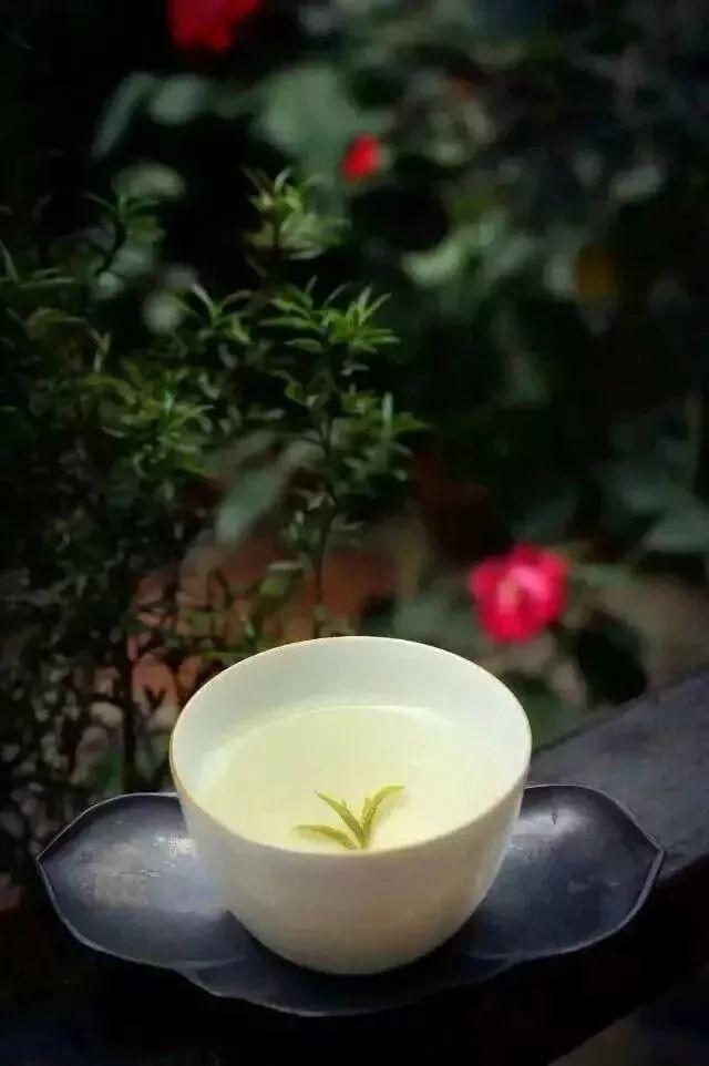 说话的艺术:君子欲讷于言 而敏于行