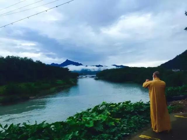 素食禅茶 菩提光影 我被这疑问困惑了有半年之久,直到听一位出家师父