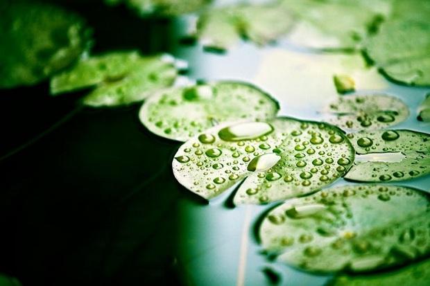 【法眼看世间】儒佛之间的争辩 谁来裁判?