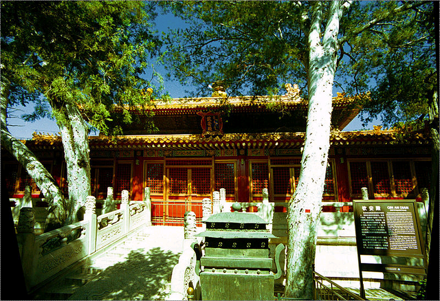 钦安殿是整个北京城唯一一处坐落在南北中轴线