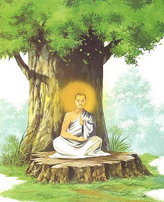 释迦牟尼佛在菩提树下悟到了什么?