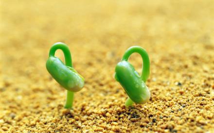 明德讲堂第七期之十:苟日新,日日新,又日新