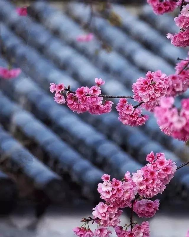 箴言丨真正的聪明人 不会太在意他人看法