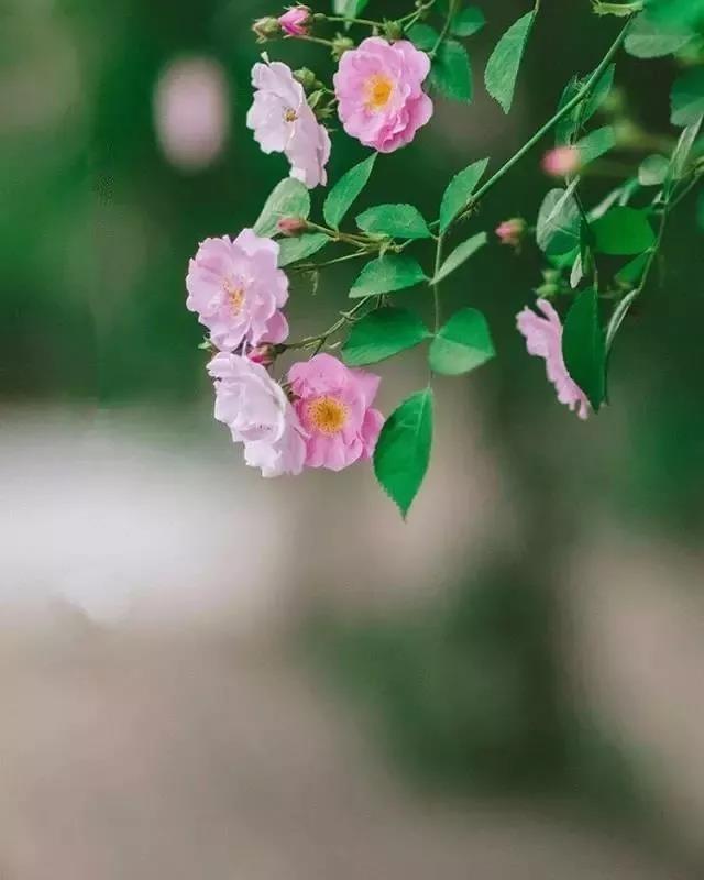 箴言丨真正的聪明人 不会太在意他人看法