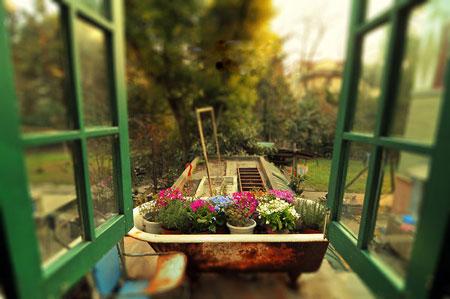 《道枢》(三):坐忘篇上