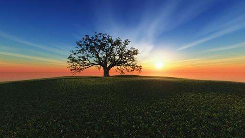 道源法师:《圆觉经》之心悟实相