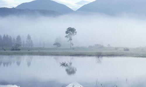 张三丰祖师《打坐歌》译解(十七)