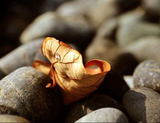 我们都是轮回的重病患_儒佛道频道_腾讯网