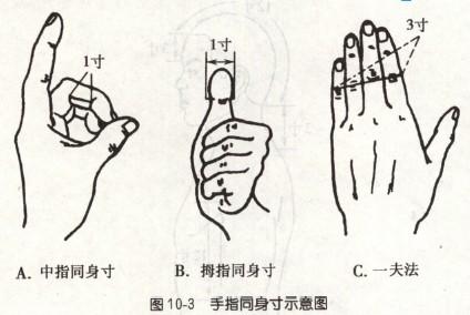 手指同身寸取穴法(资料图:图源网络)