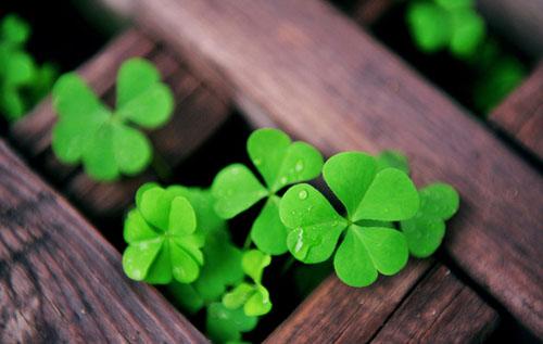 不可不知:四种特殊觉悟让人远离邪淫