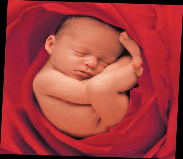 投胎转世为人的几种因缘