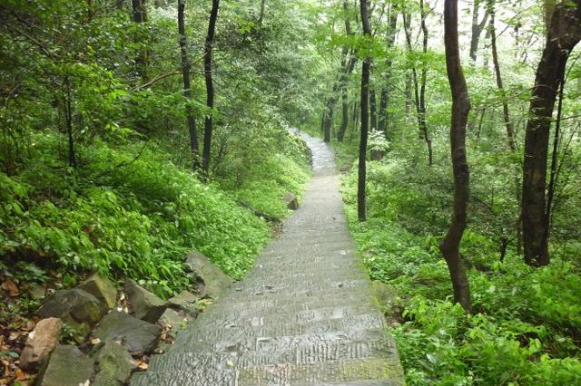 翠微原来是山腰