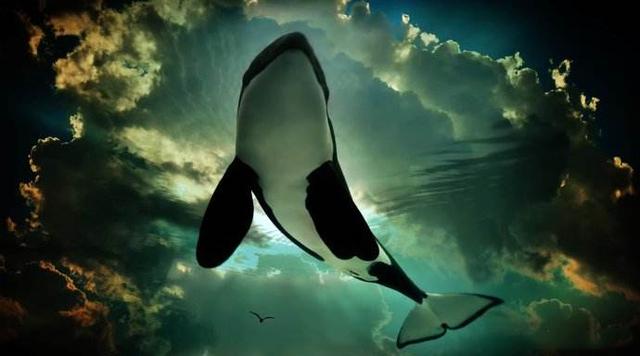 庄子追求的自由逍遥境界究竟是怎样的?