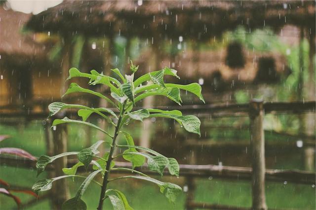 道医养生笔记丨谷雨时节暮春尽:春季养生要点大回顾