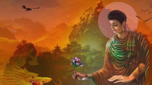 人类道德趋于畜生 以致畜生道更容易转生人道_儒佛道频道_腾讯网