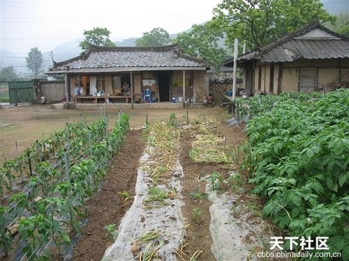 实拍韩国农村房子 继承中国传统令国人震惊