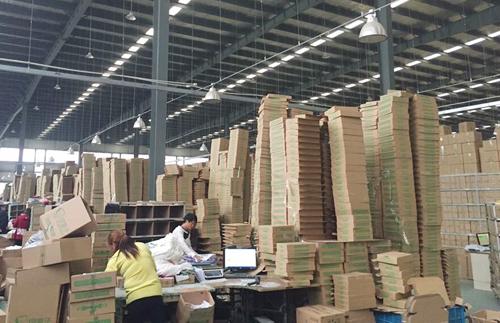 全渠道完美预热 绿盒子双11再掀销售狂潮