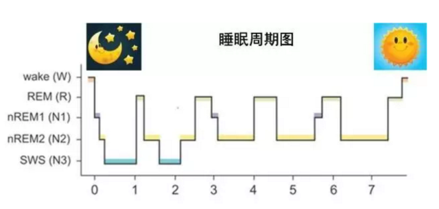 免疫gdp_细胞免疫(3)