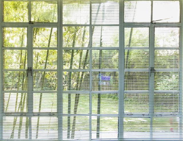 静安国际雕塑展 感受新一届公共艺术盛会