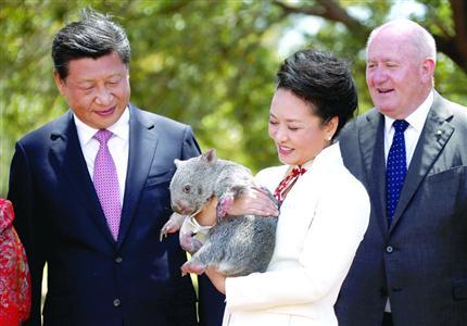 中国与澳大利亚完成自贸协定谈判