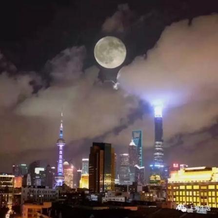 爱上海的理由：我与上海这五年（Part.1）