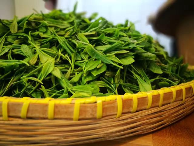 第25届上海国际茶文化旅游节6月1日即将开幕