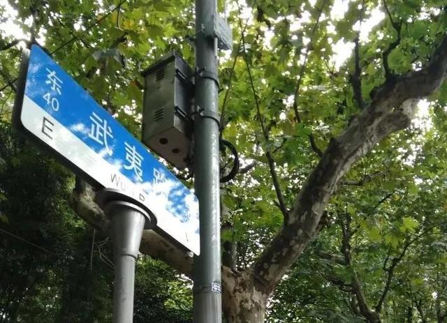 武夷路变身上海新地标 打卡攻略请收好